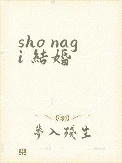 sho nagi 结婚