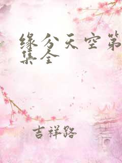 缘分天空第12集全