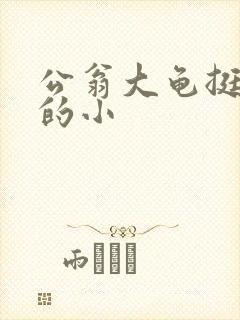 公翁大龟挺进我的小