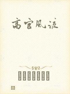 高官风流