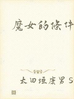 魔女的条件综漫