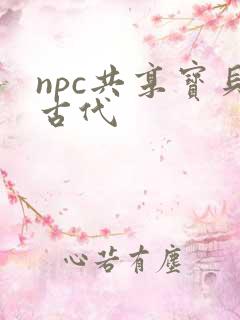 npc共享宝贝古代
