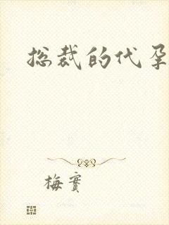 总裁的代孕女友