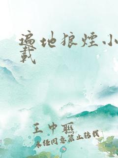 遍地狼烟小说下载