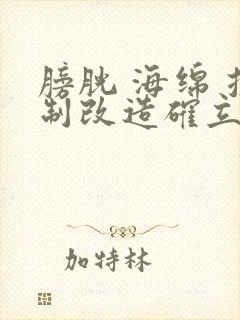 膀胱 海绵 控制改造确立m