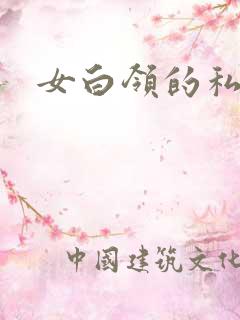女白领的私生活