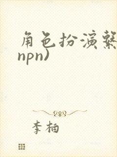 角色扮演系统(npn)