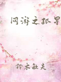 网游之孤星传说