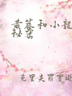 黄蓉和小龙女的秘密