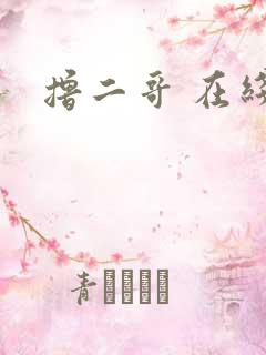 撸二哥 在线