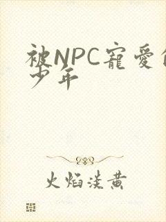 被NPC宠爱的少年