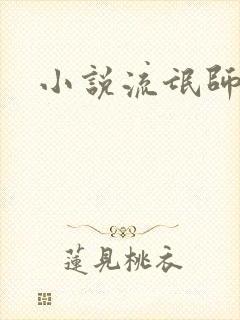 小说流氓师表