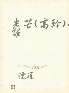 光芒(高干)小说