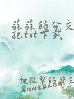 苏苏的公交车日记txt下载