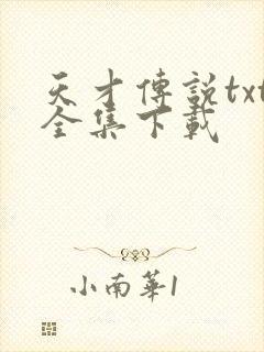 天才传说txt全集下载