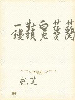 一对白花花的大馒头免费阅读