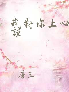 我对你上心了小说