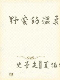 野蛮的温柔