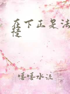 在下正是法外狂徒