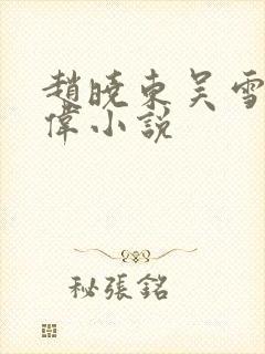 赵晓东吴雪晴郑伟小说