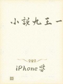 小说九王一后