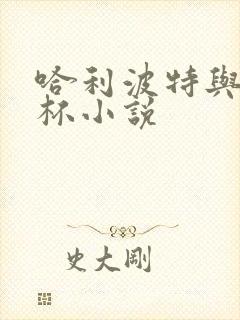 哈利波特与火焰杯小说