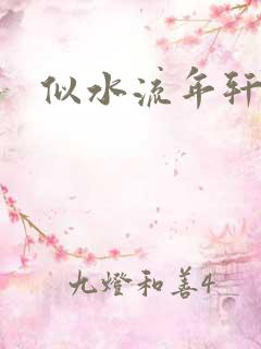 似水流年轩辕悬