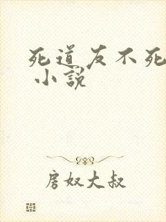 死道友不死贫道 小说