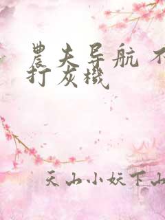 农夫导航 不准打灰机