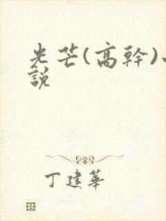 光芒(高干)小说