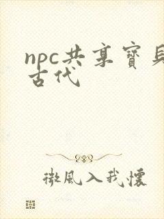 npc共享宝贝古代