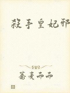杀手皇妃邪魅帝