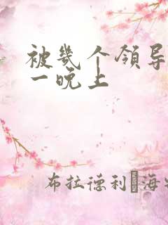 被几个领导玩弄一晚上