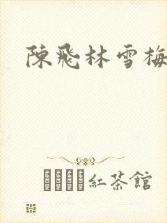 陈飞林雪梅