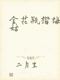 金花瓶楷梅花尼姑