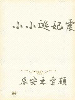 小小逃妃震江山