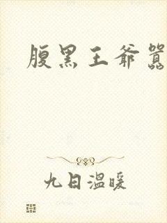 腹黑王爷嚣张妻