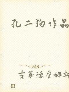孔二狗作品