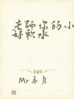 老师你的小兔子好软水