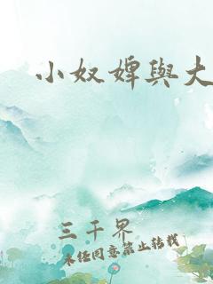 小奴婢与大少爷