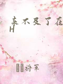 来不及了在车CH