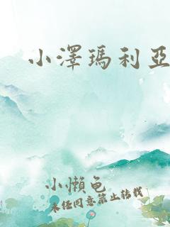 小泽玛利亚作品