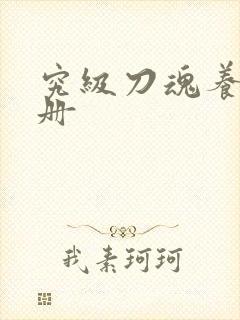 究级刀魂养成手册