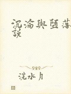 沉沦与堕落的小说