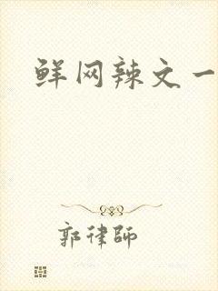 鲜网辣文一对一