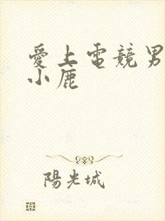 爱上电竞男神林小鹿