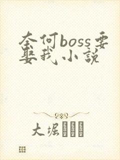 奈何boss要娶我小说