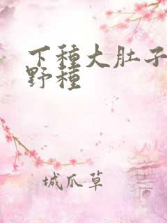 下种大肚子怀孕野种