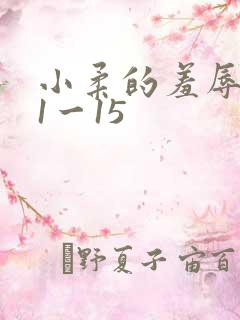 小柔的羞辱日记1一15