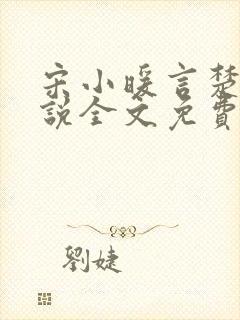 宋小暖言楚行小说全文免费阅读